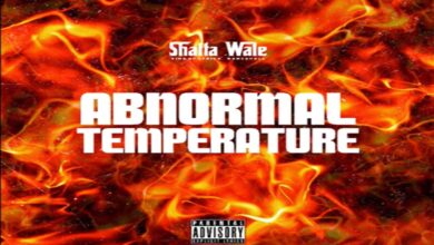 Shatta Wale – Abnormal Temperature Lyrics