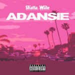 Shatta Wale – Adansie (Testimony) Lyrics