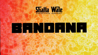 Shatta Wale – Bandana