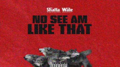 Shatta Wale – No See Am Like That Lyrics