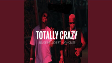 Bruce Melodie ft Harmonize – Totally Crazy