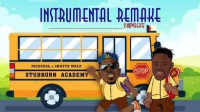 Medikal - Stubborn Academy Ft Shatta Wale Remake Instrumental