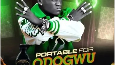 Portable – Odogwu Bitters