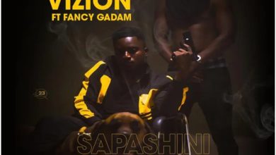 Vizion - Sapashini Ft Fancy Gadam