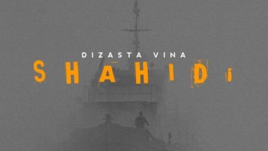 Dizasta Vina – Shahidi