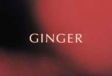 King Promise - Ginger