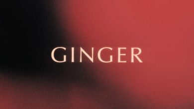 King Promise - Ginger