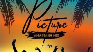 Samini – Picture (Amapiano Mix) Ft Efya