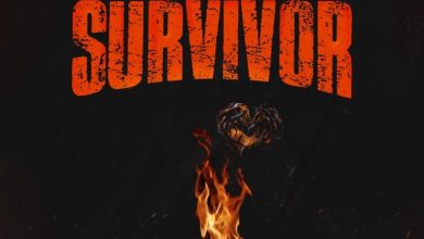 Wendy Shay – Survivor