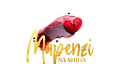 Mr Nana – Mapenzi Na Shida