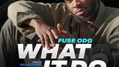 Fuse ODG – What It Do