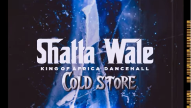 Shatta Wale – Cold Store