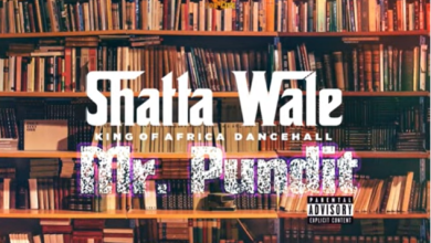 Shatta Wale – Mr Pundit