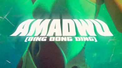 Skyface SDW – Amadwo (Ding Dong Ding) Ft Reggie