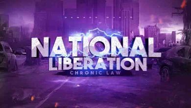 Chronic Law - National Liberation Ft Damage Musiq