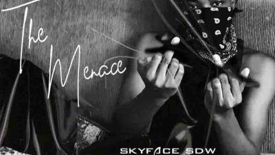 Skyface SDW – Leave Me Alone