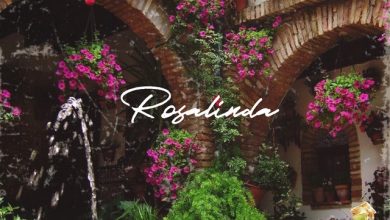 Joey B – Rosalinda