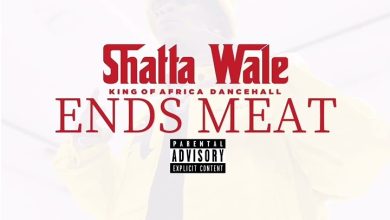 Shatta Wale – Ends Meat