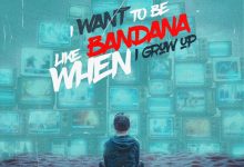 Shatta Wale – I Want To Be Like Bandana