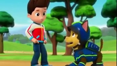 Paw patrol kid video with babysitter