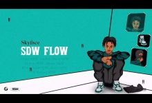 Skyface SDW – SDW Flow Ft The SDWs