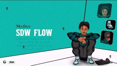 Skyface SDW – SDW Flow Ft The SDWs