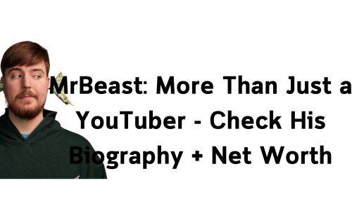 MrBeast More Than Just a YouTuber - Check His Biography + Net Worth