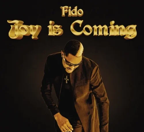 Know The Lyrics Of "Joy Is Coming" By Fido