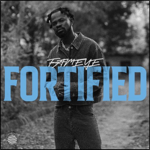 Fortified Song By Fameye - Review Of Lyrics